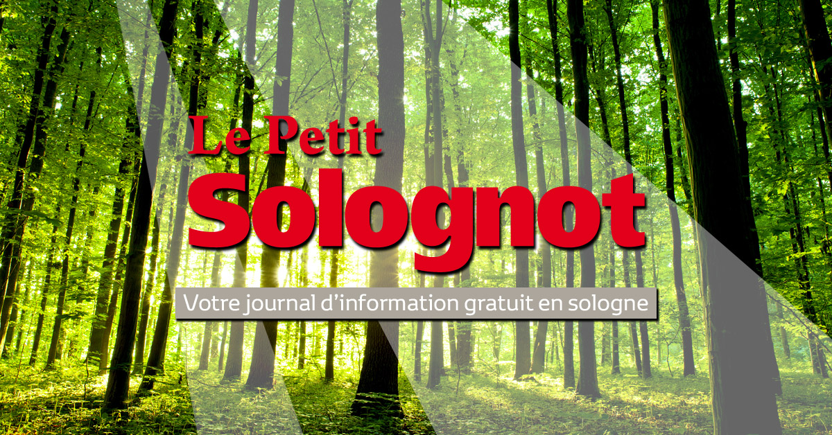 (c) Lepetitsolognot.fr